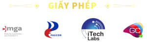 giấy phép 1